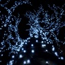 イルミネーション（ソフトフィルター）