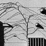 伝染