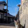 おチビさん