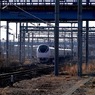 写真エッセイ：特急ひたち入構！