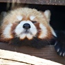 出られません(ーー;)
