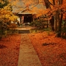 2013　平泉中尊寺紅葉