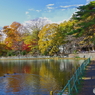 紅葉の富士見池４