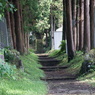 参道