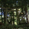 摂社の鳥居
