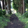 参道の２