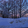 積雪の朝に