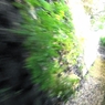光に向かって