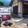 うさぎと亀