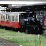 トロッコ列車
