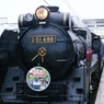 SLD51
