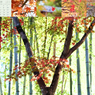2022calendar.003