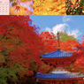 2022calendar.001