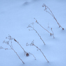 雪原の枯草