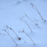 雪原の枯草