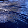 写真句：氷の爪あと