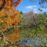 紅葉の三宝池