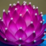 蓮華の紙工芸展より⑤