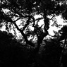 R0012130