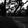 R0012132