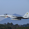 F-15J Eagle (1)