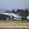 F-15J Eagle (4)