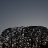 夕焼けのシルエット