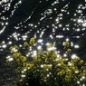 春の光
