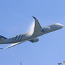 「SKYTEAM」　あら〜　白いものが...