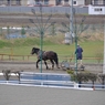 ばんえい競馬