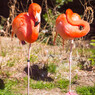 天王寺動物園
