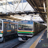 並んだ２１１と２３３