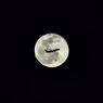 Fly Me to the Moon