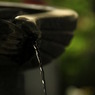 photo_1163817