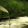 photo_1163824