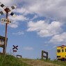 春到来　いすみ鉄道！①