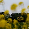 春到来　いすみ鉄道！②