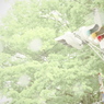 通学の小雨