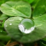 『Rain drops』 雨粒の向こう側