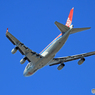 「クール」✈　カーゴ機のスッキリお尻も好きですよ☮