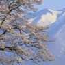 残雪の峰と