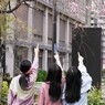 この辺が奇麗ですよ～。