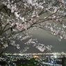 咲く花に