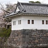 城と桜➁