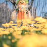 花まつり