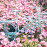 花まつり