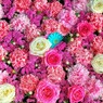 花まいり　4月朔日参り