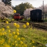 小湊鉄道　里見駅！③