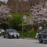 桜系②　教習車
