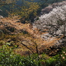P3290026
